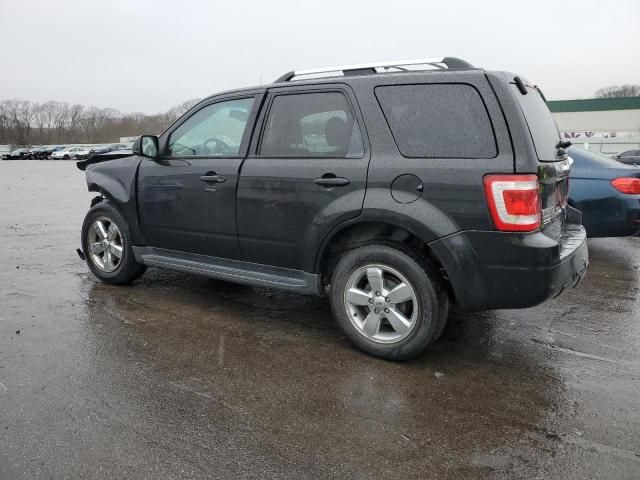 2011 Ford Escape Limited