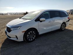 Salvage cars for sale from Copart San Diego, CA: 2022 Honda Odyssey EXL