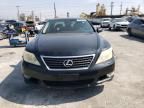 2010 Lexus LS 460