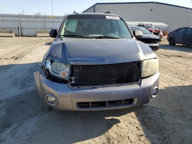 2011 Ford Escape XLT