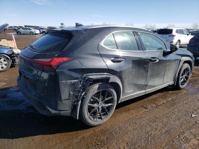 2020 Lexus UX 250H