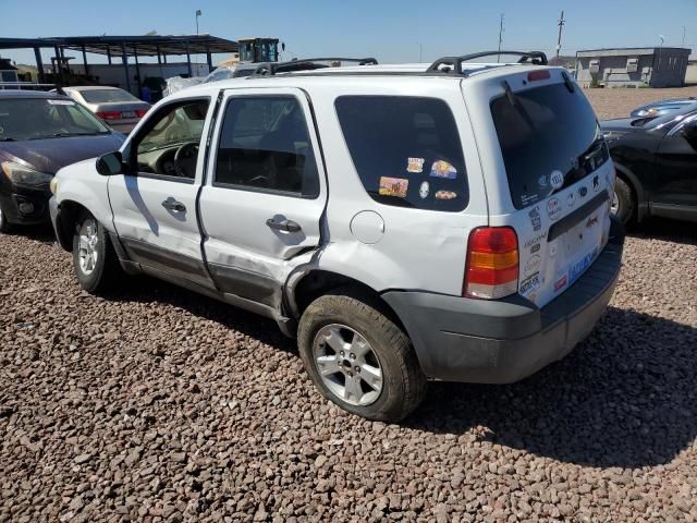 2005 Ford Escape XLT