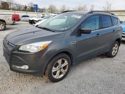 Salvage cars for sale at Walton, KY auction: 2016 Ford Escape SE