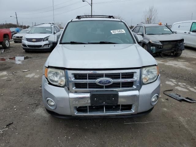 2009 Ford Escape Limited