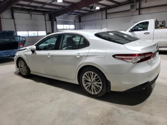 2019 Toyota Camry Hybrid