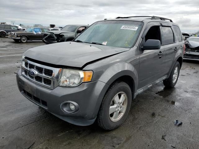 2012 Ford Escape XLT