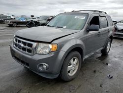 Carros salvage a la venta en subasta: 2012 Ford Escape XLT