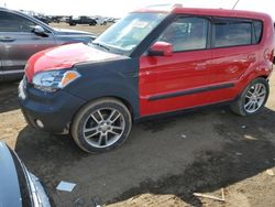 Salvage cars for sale at Brighton, CO auction: 2010 KIA Soul +
