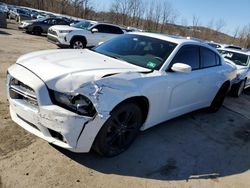 Salvage cars for sale at Marlboro, NY auction: 2014 Dodge Charger SXT