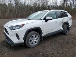 Toyota Rav4 LE salvage cars for sale: 2019 Toyota Rav4 LE