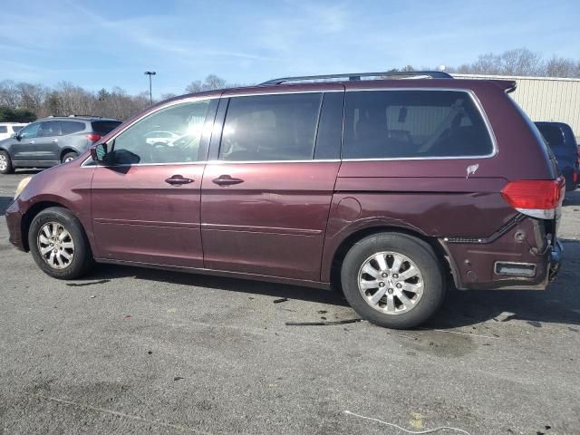 2010 Honda Odyssey EXL