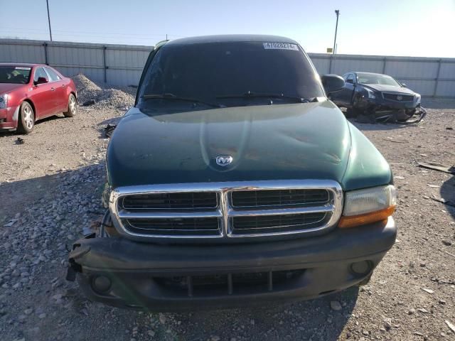 2004 Dodge Dakota SXT