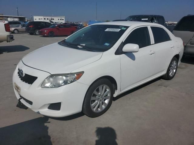 2010 Toyota Corolla Base