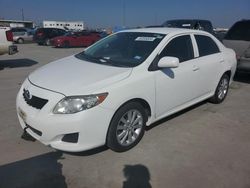 Salvage cars for sale at Grand Prairie, TX auction: 2010 Toyota Corolla Base