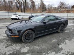 Salvage cars for sale from Copart Albany, NY: 2005 Ford Mustang