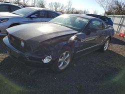 Salvage cars for sale at New Britain, CT auction: 2008 Ford Mustang GT
