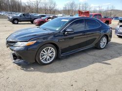 Salvage cars for sale from Copart Marlboro, NY: 2020 Toyota Camry XLE