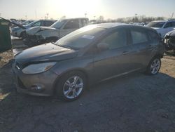 Salvage cars for sale at Indianapolis, IN auction: 2012 Ford Focus SE