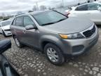 2011 KIA Sorento Base