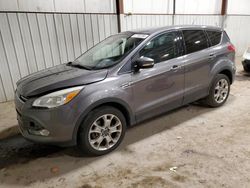 Ford Escape SEL salvage cars for sale: 2013 Ford Escape SEL