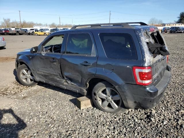 2008 Ford Escape Limited