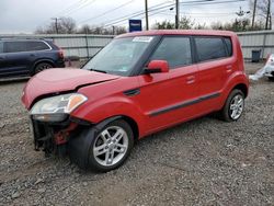 Carros salvage a la venta en subasta: 2010 KIA Soul +