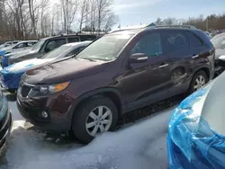 KIA Sorento Vehiculos salvage en venta: 2012 KIA Sorento Base