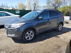 Salvage cars for sale at Baltimore, MD auction: 2015 Ford Escape SE