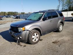 Salvage cars for sale at Dunn, NC auction: 2012 Ford Escape XLT