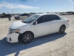 2011 Toyota Corolla Base for sale in Arcadia, FL