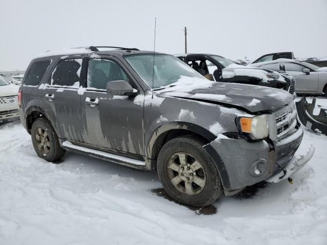 2009 Ford Escape Limited