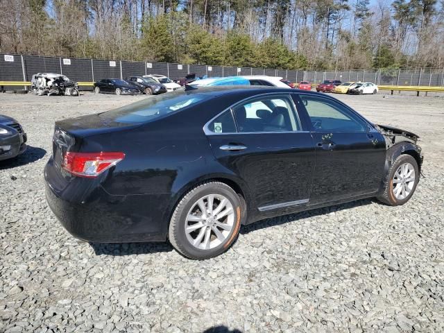 2010 Lexus ES 350