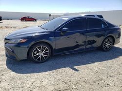 Salvage cars for sale at Adelanto, CA auction: 2021 Toyota Camry SE