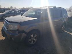 Salvage cars for sale from Copart Hillsborough, NJ: 2011 Honda Pilot EXL