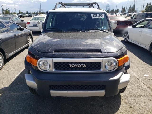 2007 Toyota FJ Cruiser