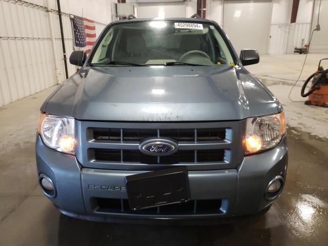 2010 Ford Escape Hybrid