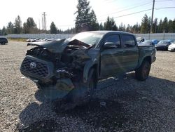 Salvage cars for sale from Copart Graham, WA: 2021 Toyota Tacoma Double Cab