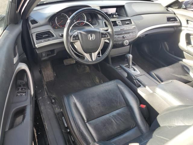 2010 Honda Accord EXL