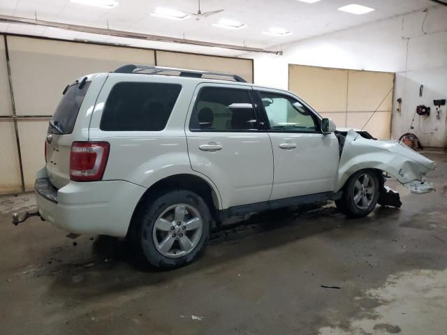 2010 Ford Escape Limited