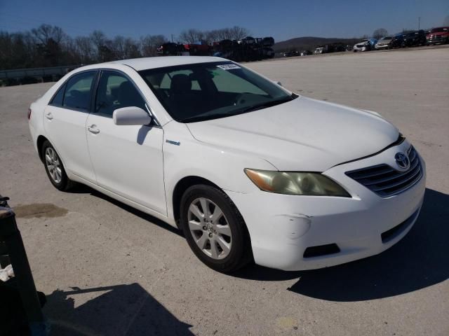 2009 Toyota Camry Hybrid