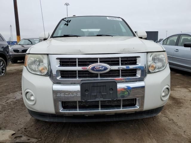 2011 Ford Escape Limited