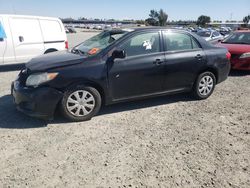 Salvage cars for sale from Copart Antelope, CA: 2009 Toyota Corolla Base