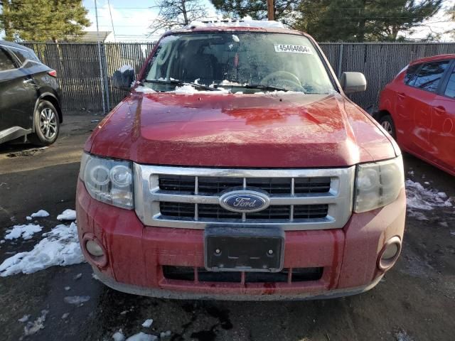 2009 Ford Escape XLT