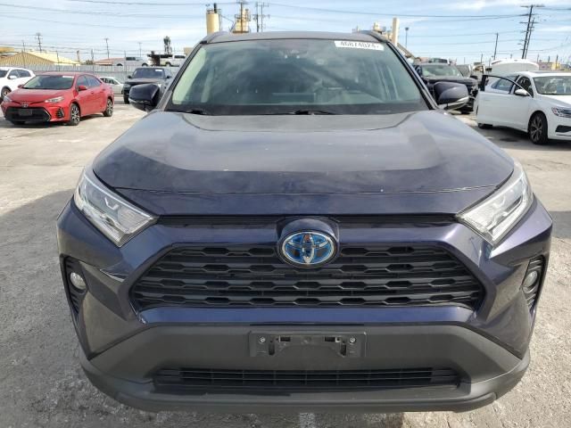 2019 Toyota Rav4 XLE