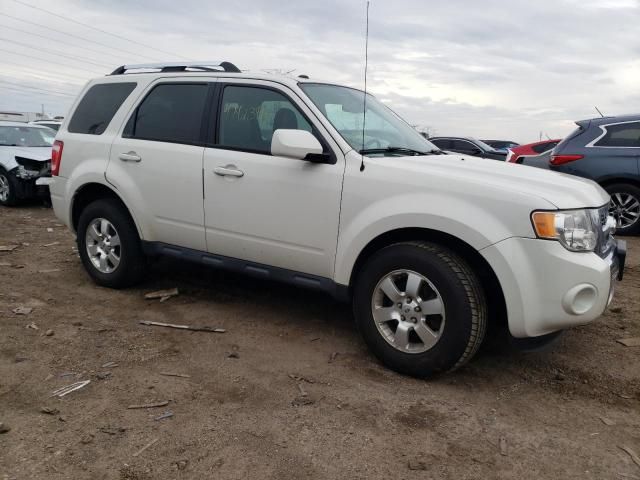 2011 Ford Escape Limited