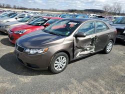 KIA Forte EX salvage cars for sale: 2013 KIA Forte EX