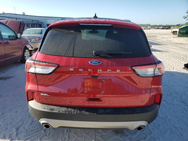 2022 Ford Escape SEL