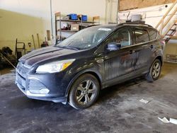 2014 Ford Escape SE for sale in Ham Lake, MN