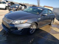 Salvage cars for sale at Louisville, KY auction: 2015 KIA Optima Hybrid