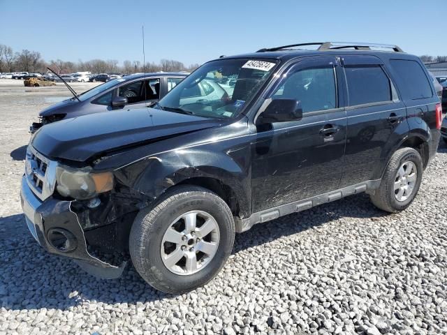 2011 Ford Escape Limited